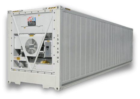 Bull ISO 40 foot high cube reefer container